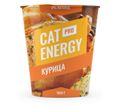 Cat Energy PRO 1000 г.