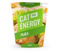 Cat Energy PRO 1000 г.