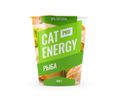 Cat Energy PRO 500 г.