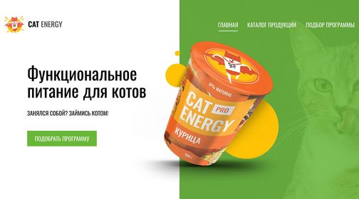 Скриншот главной страницы проекта cat-energy.